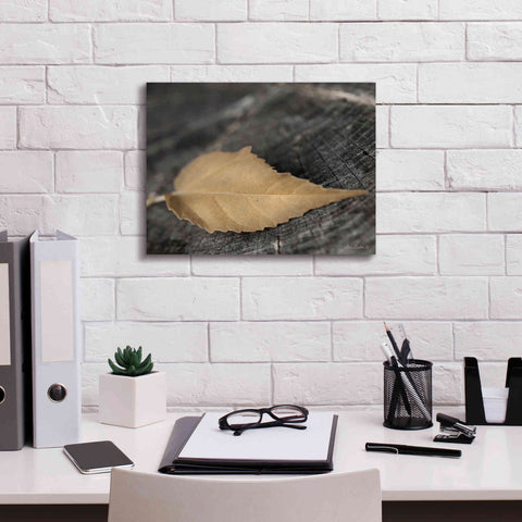 Image of 'Natural Gold Leaf' by Lori Deiter, Canvas Wall Art,16 x 12
