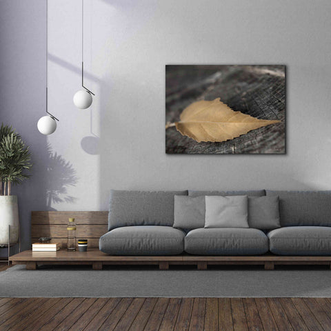 Image of 'Natural Gold Leaf' by Lori Deiter, Canvas Wall Art,54 x 40