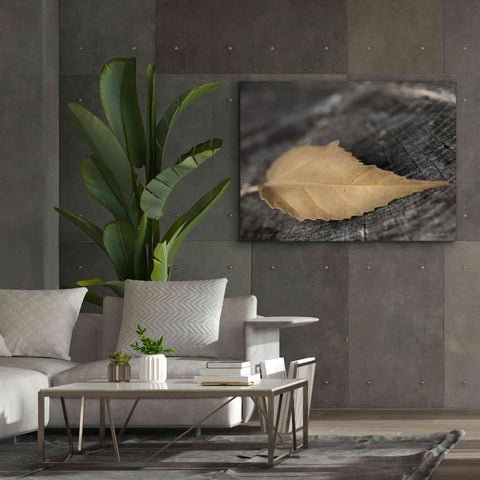 Image of 'Natural Gold Leaf' by Lori Deiter, Canvas Wall Art,54 x 40