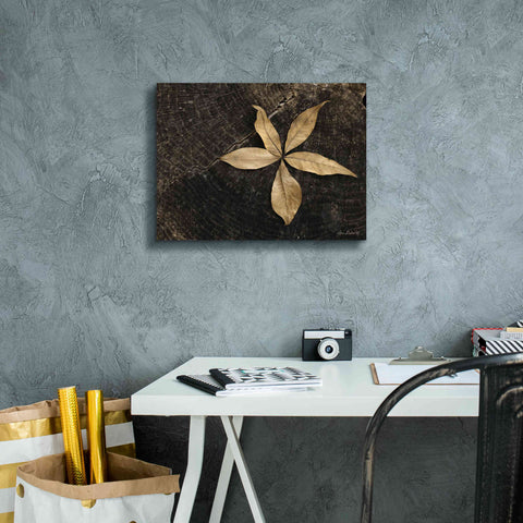 Image of 'Natural Buckeye Leaf' by Lori Deiter, Canvas Wall Art,16 x 12