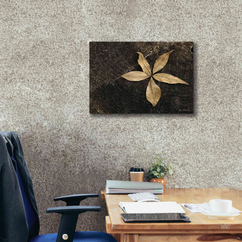 Image of 'Natural Buckeye Leaf' by Lori Deiter, Canvas Wall Art,24 x 20