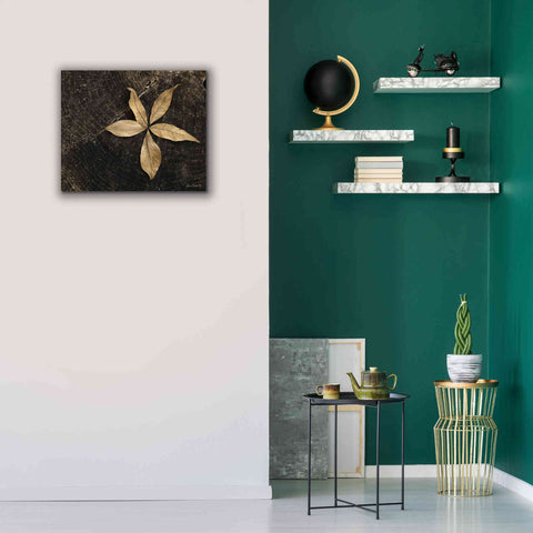 Image of 'Natural Buckeye Leaf' by Lori Deiter, Canvas Wall Art,24 x 20