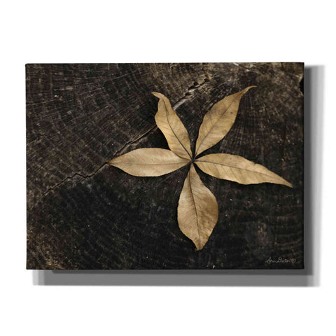 Image of 'Natural Buckeye Leaf' by Lori Deiter, Canvas Wall Art