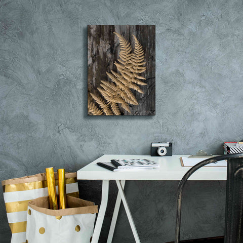 Image of 'Natural Gold Fern' by Lori Deiter, Canvas Wall Art,12 x 16