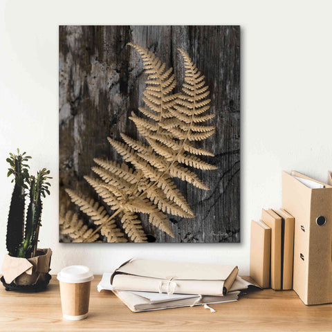 Image of 'Natural Gold Fern' by Lori Deiter, Canvas Wall Art,20 x 24
