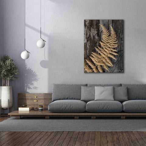 Image of 'Natural Gold Fern' by Lori Deiter, Canvas Wall Art,40 x 54