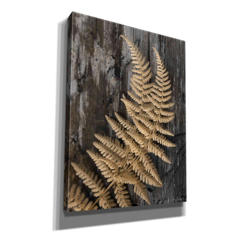 Image of 'Natural Gold Fern' by Lori Deiter, Canvas Wall Art