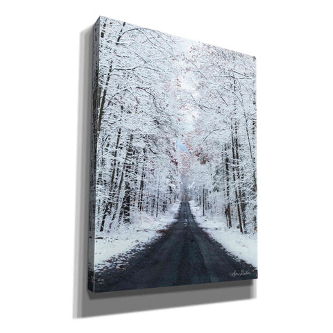 Image of 'All Roads Lead Home' by Lori Deiter, Canvas Wall Art