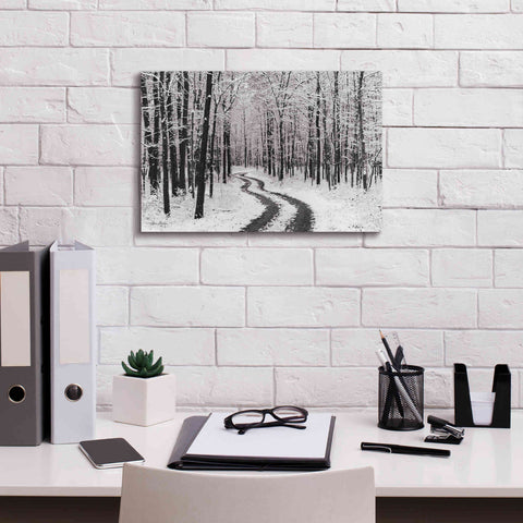 Image of 'Snowy Road' by Lori Deiter, Canvas Wall Art,18 x 12