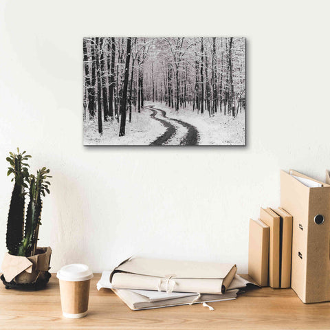 Image of 'Snowy Road' by Lori Deiter, Canvas Wall Art,18 x 12