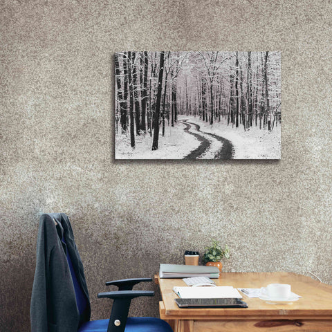 Image of 'Snowy Road' by Lori Deiter, Canvas Wall Art,40 x 26