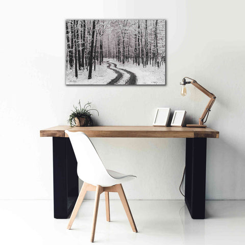 Image of 'Snowy Road' by Lori Deiter, Canvas Wall Art,40 x 26
