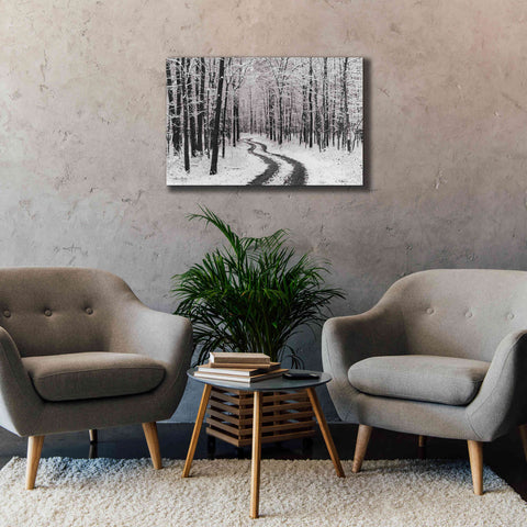 Image of 'Snowy Road' by Lori Deiter, Canvas Wall Art,40 x 26