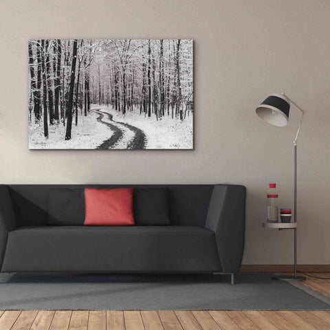 Image of 'Snowy Road' by Lori Deiter, Canvas Wall Art,60 x 40