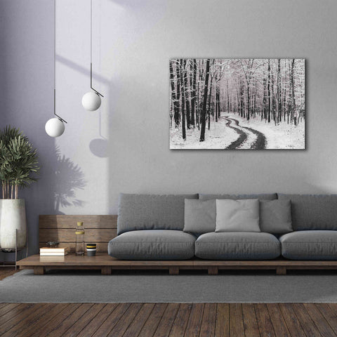 Image of 'Snowy Road' by Lori Deiter, Canvas Wall Art,60 x 40