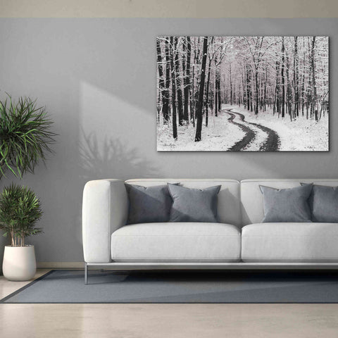 Image of 'Snowy Road' by Lori Deiter, Canvas Wall Art,60 x 40
