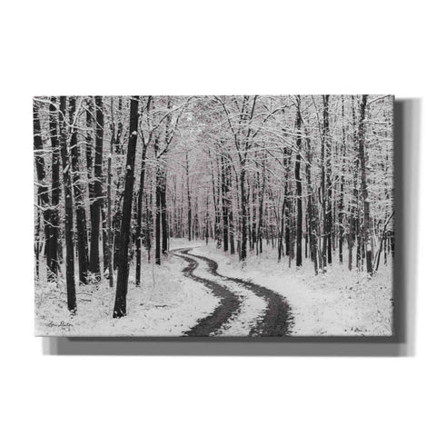 Image of 'Snowy Road' by Lori Deiter, Canvas Wall Art