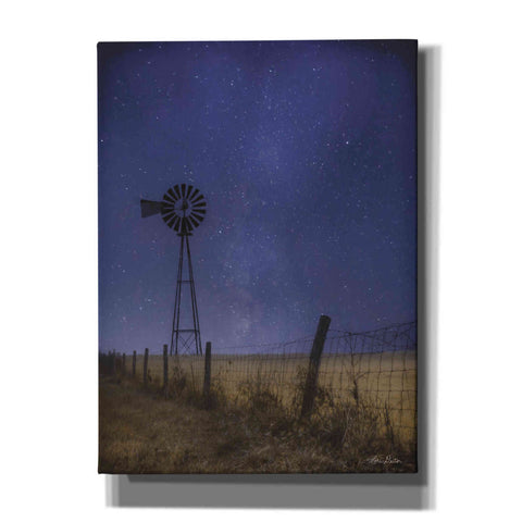 Image of 'Starlit Night' by Lori Deiter, Canvas Wall Art