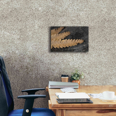 Image of 'Gold on Black V' by Lori Deiter, Canvas Wall Art,18 x 12