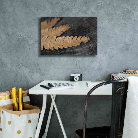 Image of 'Gold on Black V' by Lori Deiter, Canvas Wall Art,18 x 12