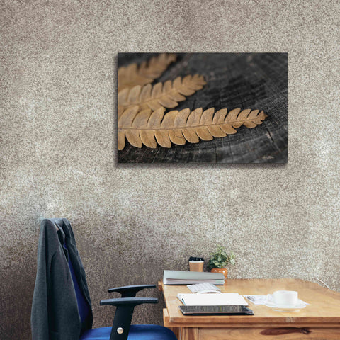Image of 'Gold on Black V' by Lori Deiter, Canvas Wall Art,40 x 26