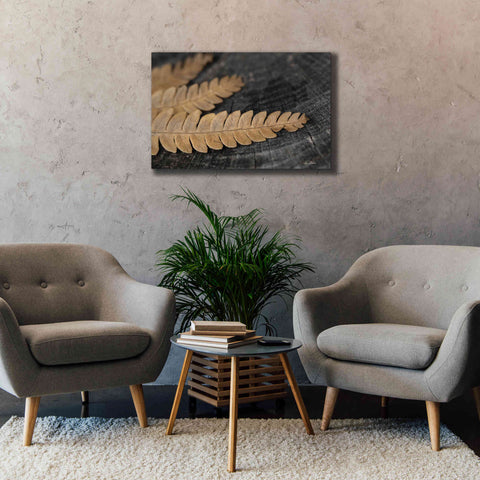Image of 'Gold on Black V' by Lori Deiter, Canvas Wall Art,40 x 26