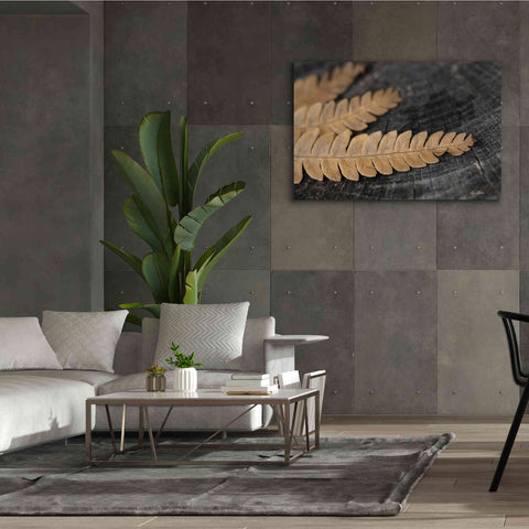 Image of 'Gold on Black V' by Lori Deiter, Canvas Wall Art,60 x 40