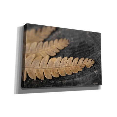 Image of 'Gold on Black V' by Lori Deiter, Canvas Wall Art