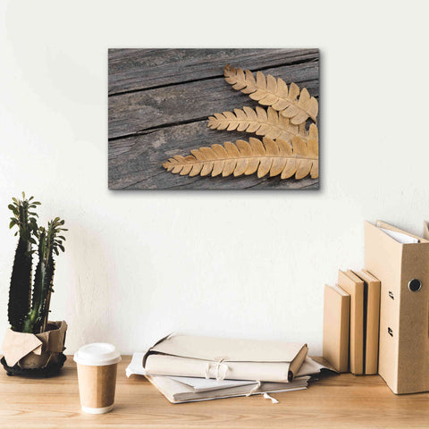 Image of 'Gold on Black VI' by Lori Deiter, Canvas Wall Art,18 x 12