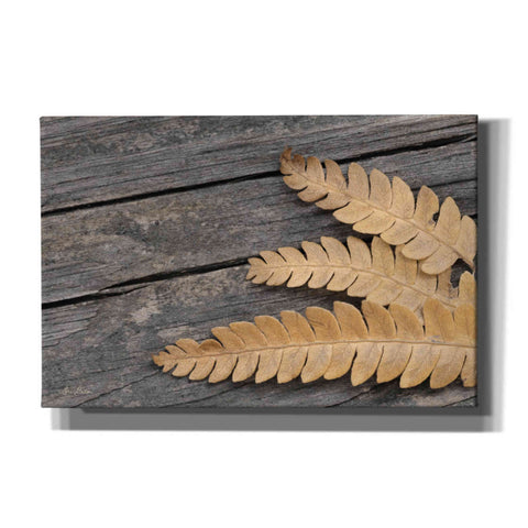 Image of 'Gold on Black VI' by Lori Deiter, Canvas Wall Art