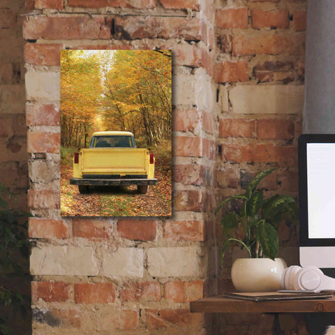 Image of 'The Season of Color' by Lori Deiter, Canvas Wall Art,12 x 18