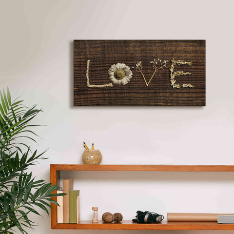 Image of 'Love is All You Need' by Lori Deiter, Canvas Wall Art,24 x 12