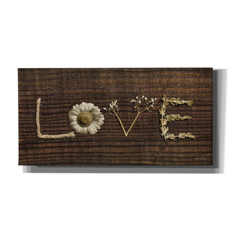 Image of 'Love is All You Need' by Lori Deiter, Canvas Wall Art