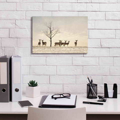 Image of 'Doe a Deer' by Lori Deiter, Canvas Wall Art,18 x 12