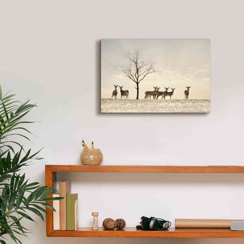 Image of 'Doe a Deer' by Lori Deiter, Canvas Wall Art,18 x 12