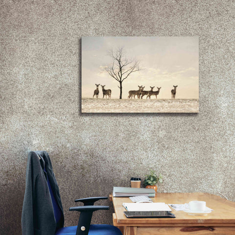 Image of 'Doe a Deer' by Lori Deiter, Canvas Wall Art,40 x 26