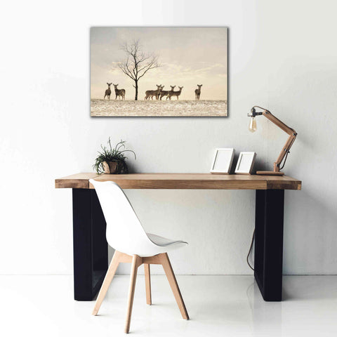 Image of 'Doe a Deer' by Lori Deiter, Canvas Wall Art,40 x 26