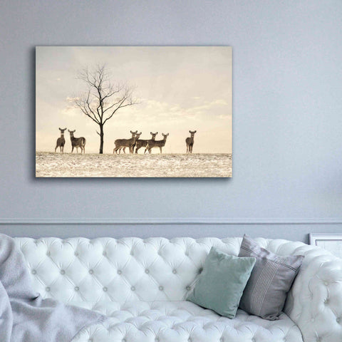 Image of 'Doe a Deer' by Lori Deiter, Canvas Wall Art,60 x 40