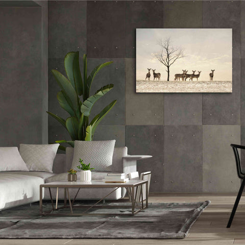 Image of 'Doe a Deer' by Lori Deiter, Canvas Wall Art,60 x 40