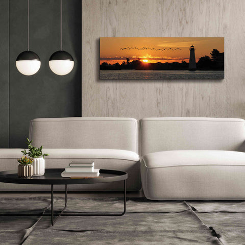Image of 'Sunset Flight' by Lori Deiter, Canvas Wall Art,60 x 20