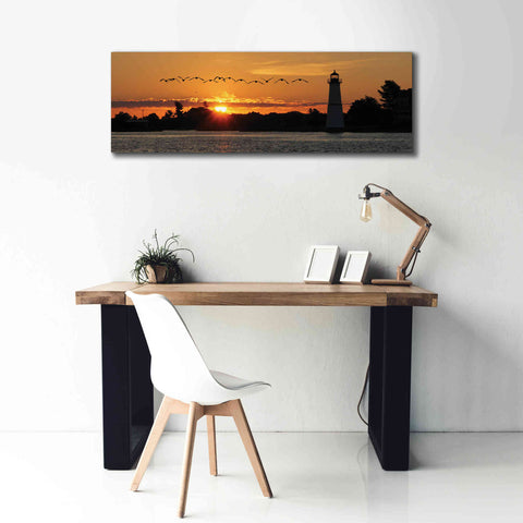 Image of 'Sunset Flight' by Lori Deiter, Canvas Wall Art,60 x 20