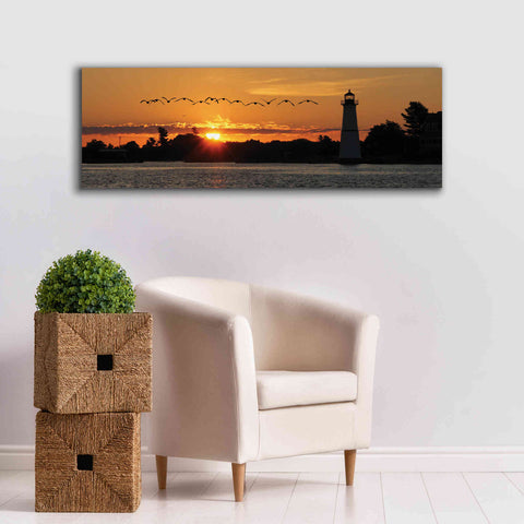 Image of 'Sunset Flight' by Lori Deiter, Canvas Wall Art,60 x 20