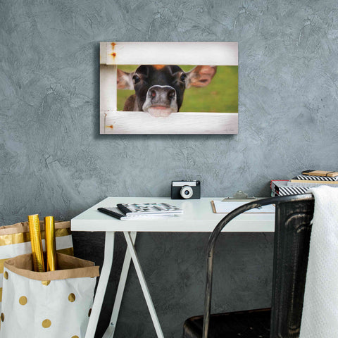 Image of 'Cow at Fence' by Lori Deiter, Canvas Wall Art,18 x 12