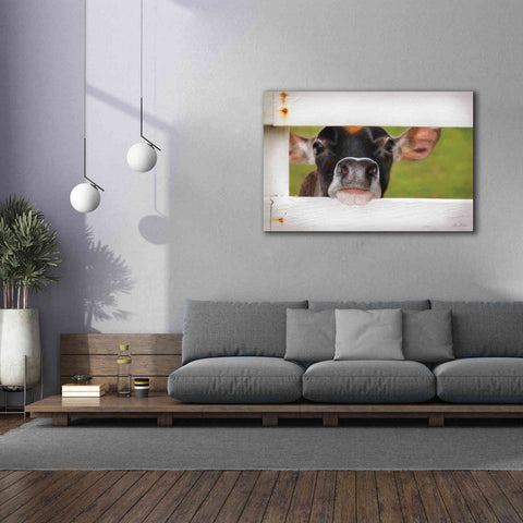 Image of 'Cow at Fence' by Lori Deiter, Canvas Wall Art,60 x 40