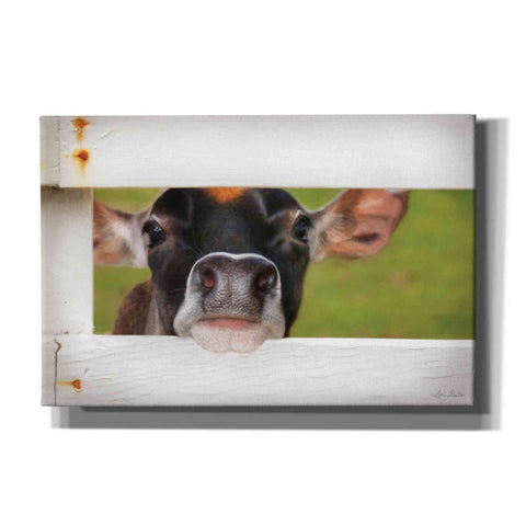 Image of 'Cow at Fence' by Lori Deiter, Canvas Wall Art