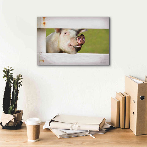 Image of 'Pig at Fence' by Lori Deiter, Canvas Wall Art,18 x 12
