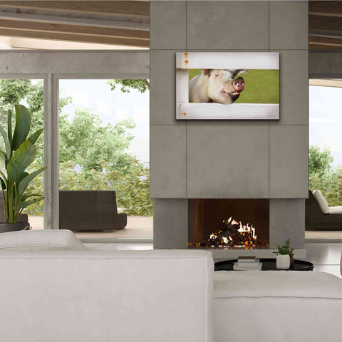 Image of 'Pig at Fence' by Lori Deiter, Canvas Wall Art,40 x 26