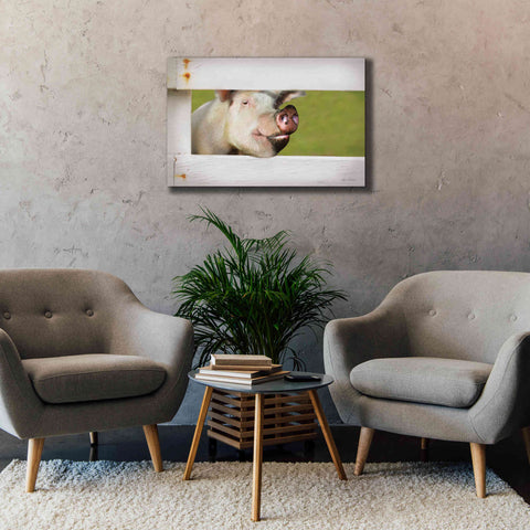 Image of 'Pig at Fence' by Lori Deiter, Canvas Wall Art,40 x 26