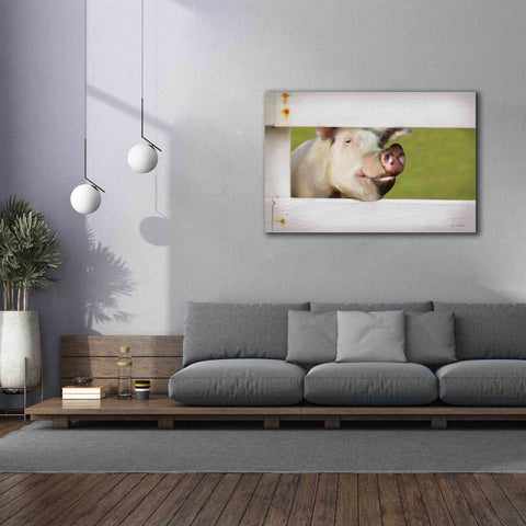 Image of 'Pig at Fence' by Lori Deiter, Canvas Wall Art,60 x 40