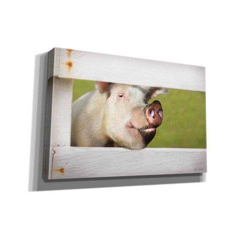 Image of 'Pig at Fence' by Lori Deiter, Canvas Wall Art
